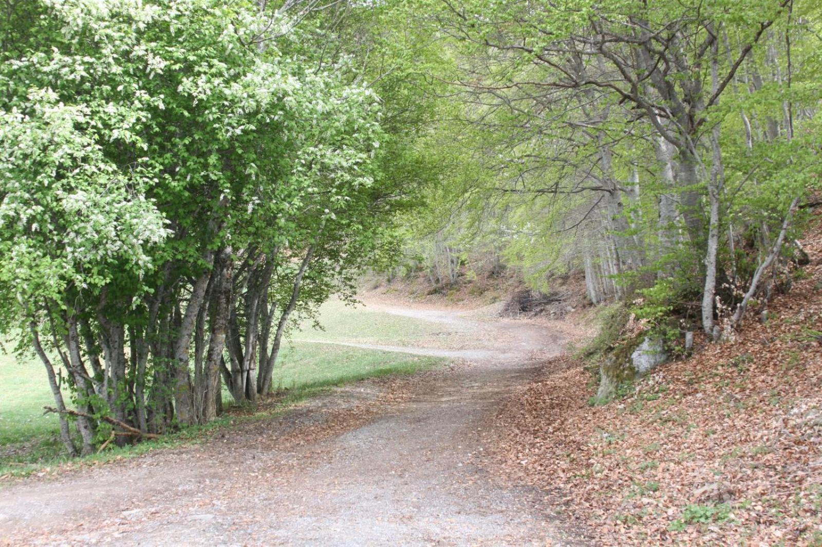 Les Gites De L'E.D.E. Saint-Leger-les-Melezes Luaran gambar