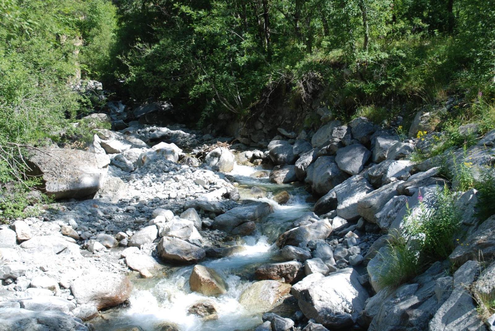 Les Gites De L'E.D.E. Saint-Leger-les-Melezes Luaran gambar